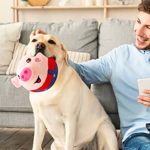 DoggyTunes™ - Syngende Plys til Kæledyr