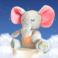 Elefant