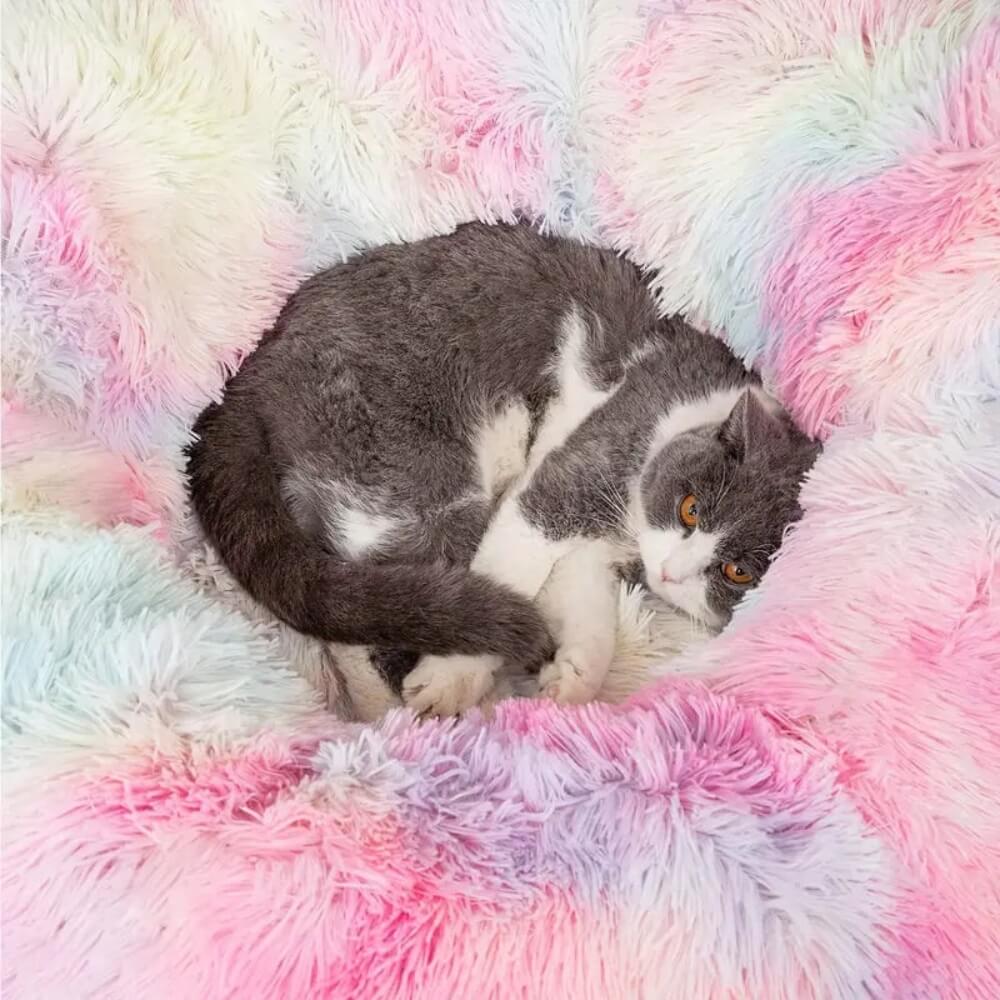 PurrPath™ - Kattelegetøjs- og Sengekombination