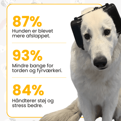 EarPaws™ - Støjreducerende Hundehovedbånd