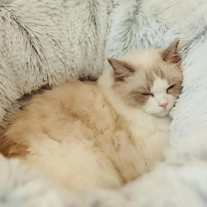PurrPath™ - Kattelegetøjs- og Sengekombination