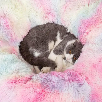 PurrPath™ - Kattelegetøjs- og Sengekombination