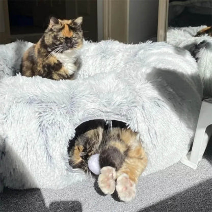 PurrPath™ - Kattelegetøjs- og Sengekombination