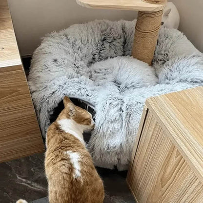 PurrPath™ - Kattelegetøjs- og Sengekombination
